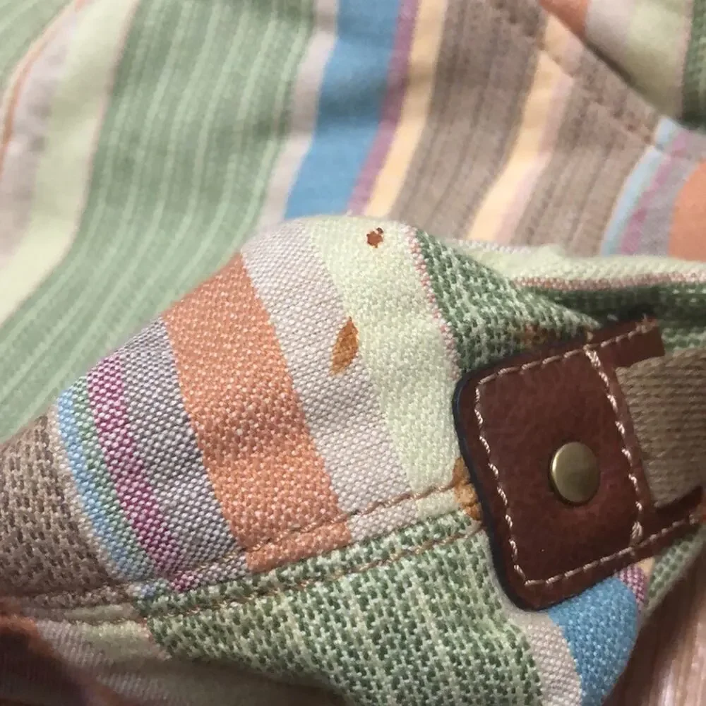 Fossil multicolored stripe